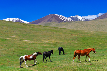 Kirgistan, Kirgisistan, Kirgisien, Kyrgyzstan, Jürgen Grösel